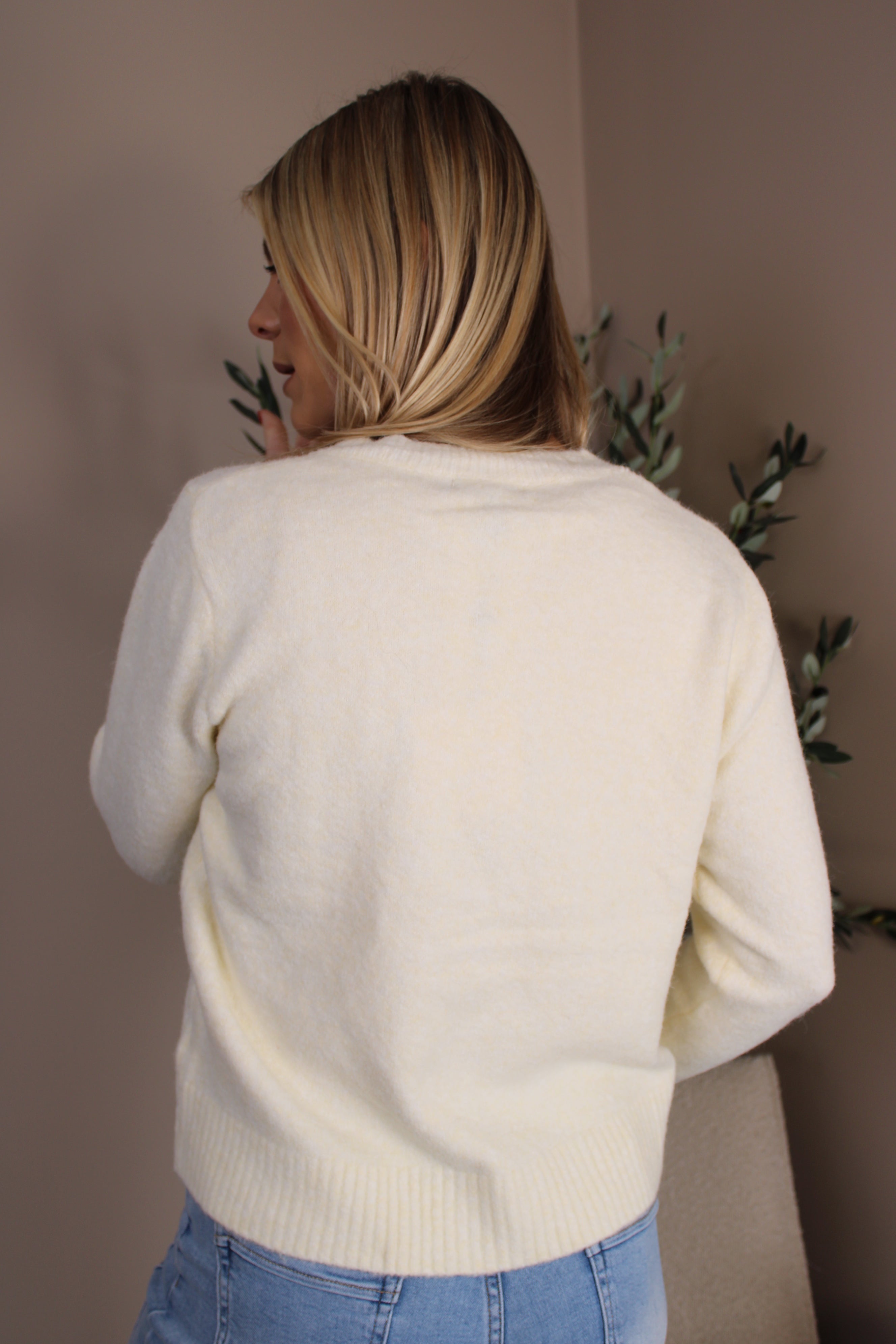 Rydal Coloured Button Cardi