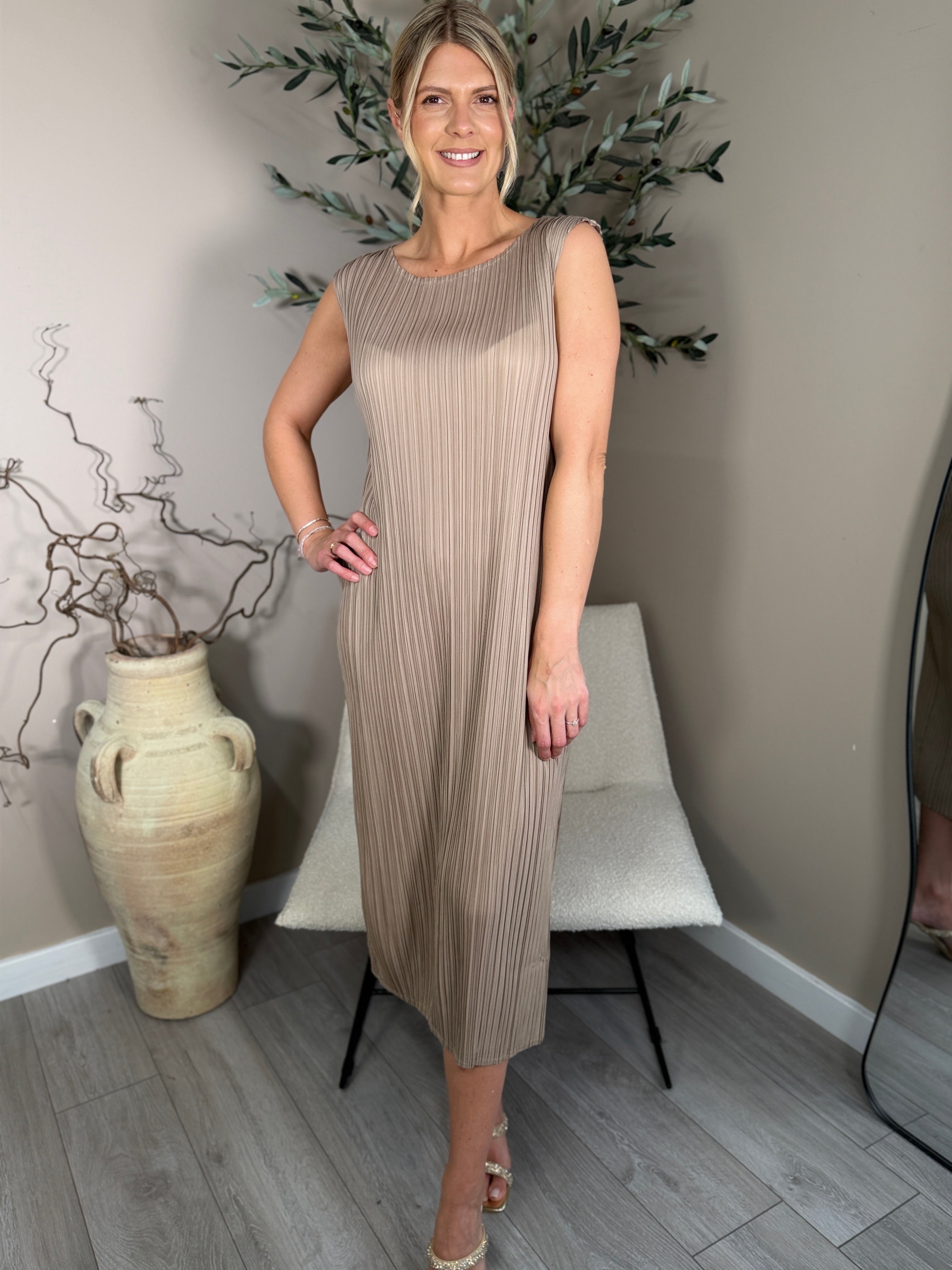 Izzy Pleats Dress