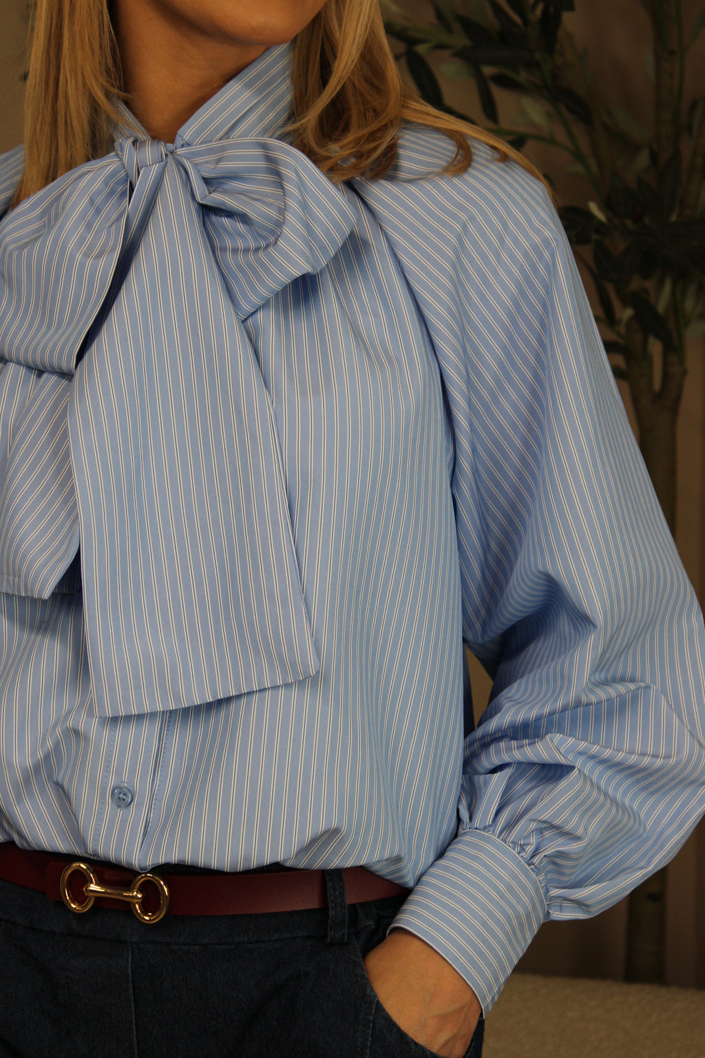 Orly Bow Neck Stripe Shirt